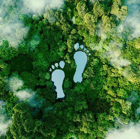 Handlungsfeld der Nachhaltigkeit Green Footprint